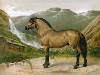 Norwegian Horse by Eerelman